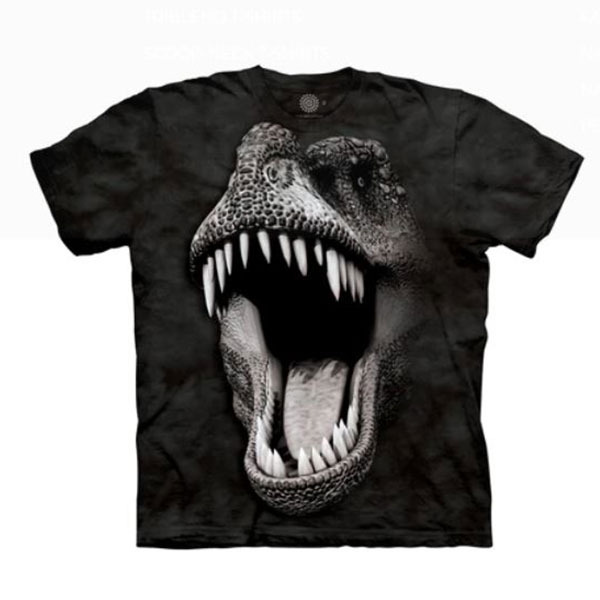BIG FACE GLOW REX GRAPHIC TEE-YOUTH